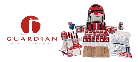 Case_Studies_555x250_guardian