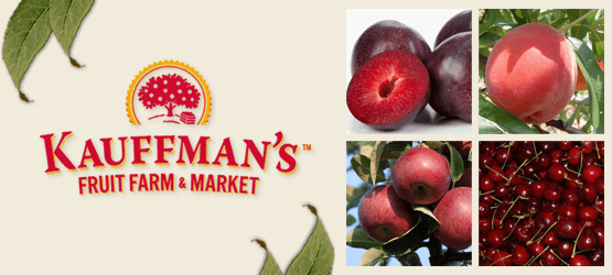 case_studies_555x250_kauffmans