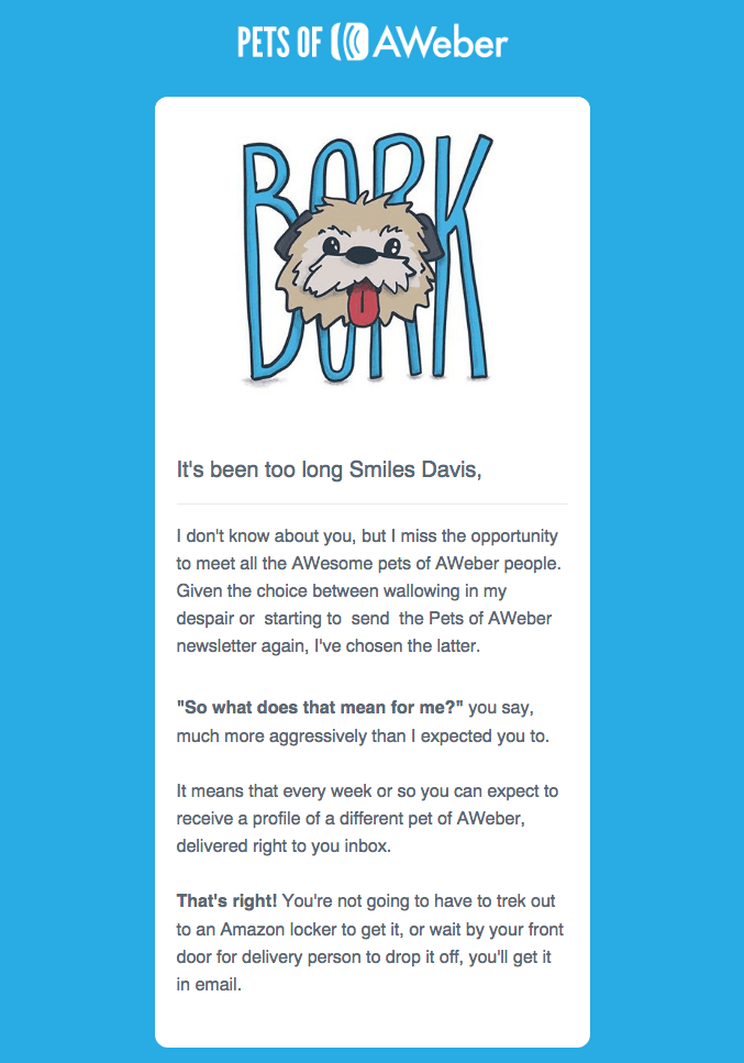 improve email marketing strategy